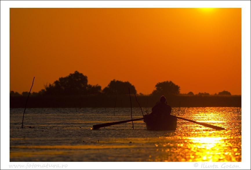 din natura - pescaridimineata3uzlina.jpg